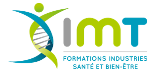 Logo du Groupe IMT