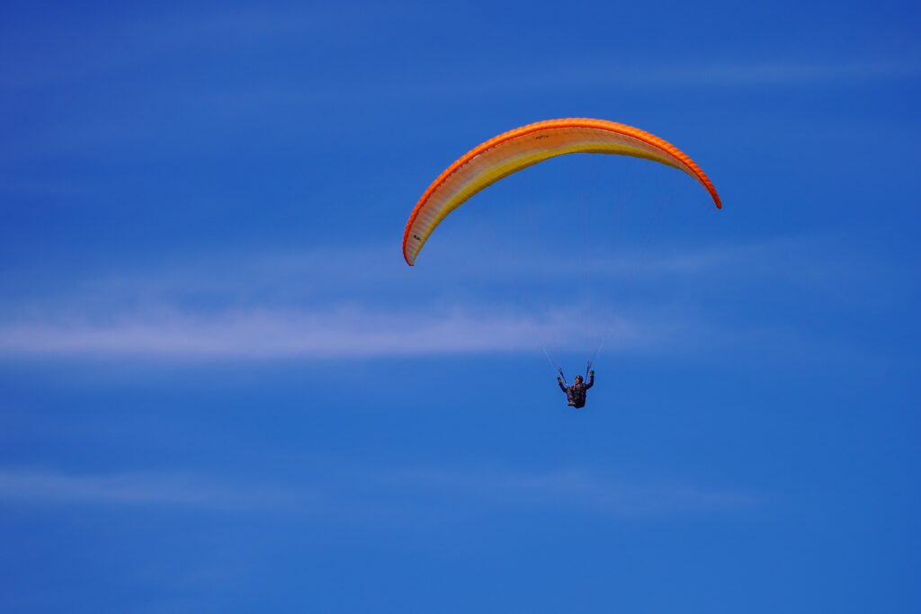 Image par Alfons Landsmann de Pixabay